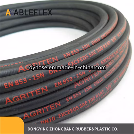 3/8 1sn treccia tubo flessibile idraulico SAE 100r1 En853 assemblaggio tubo flessibile industriale di pressione